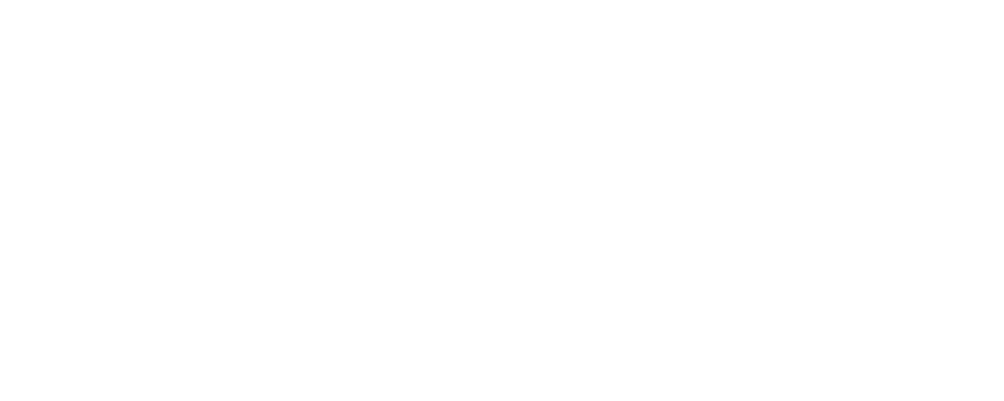 BVDK Logo